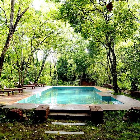 Mahagedara Wellness Retreat Otel Avudangawa Dış mekan fotoğraf