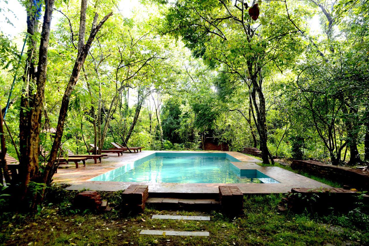 Mahagedara Wellness Retreat Otel Avudangawa Dış mekan fotoğraf