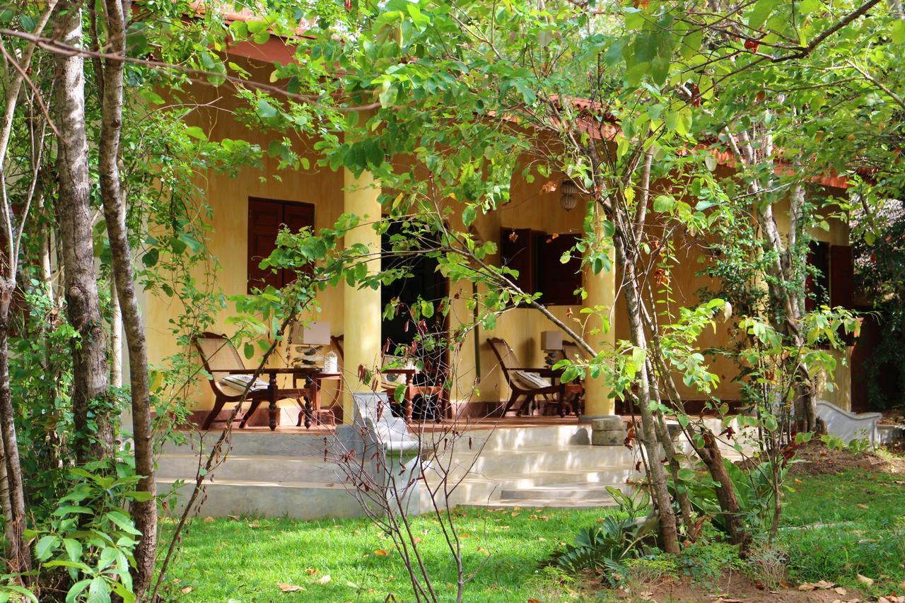 Mahagedara Wellness Retreat Otel Avudangawa Dış mekan fotoğraf