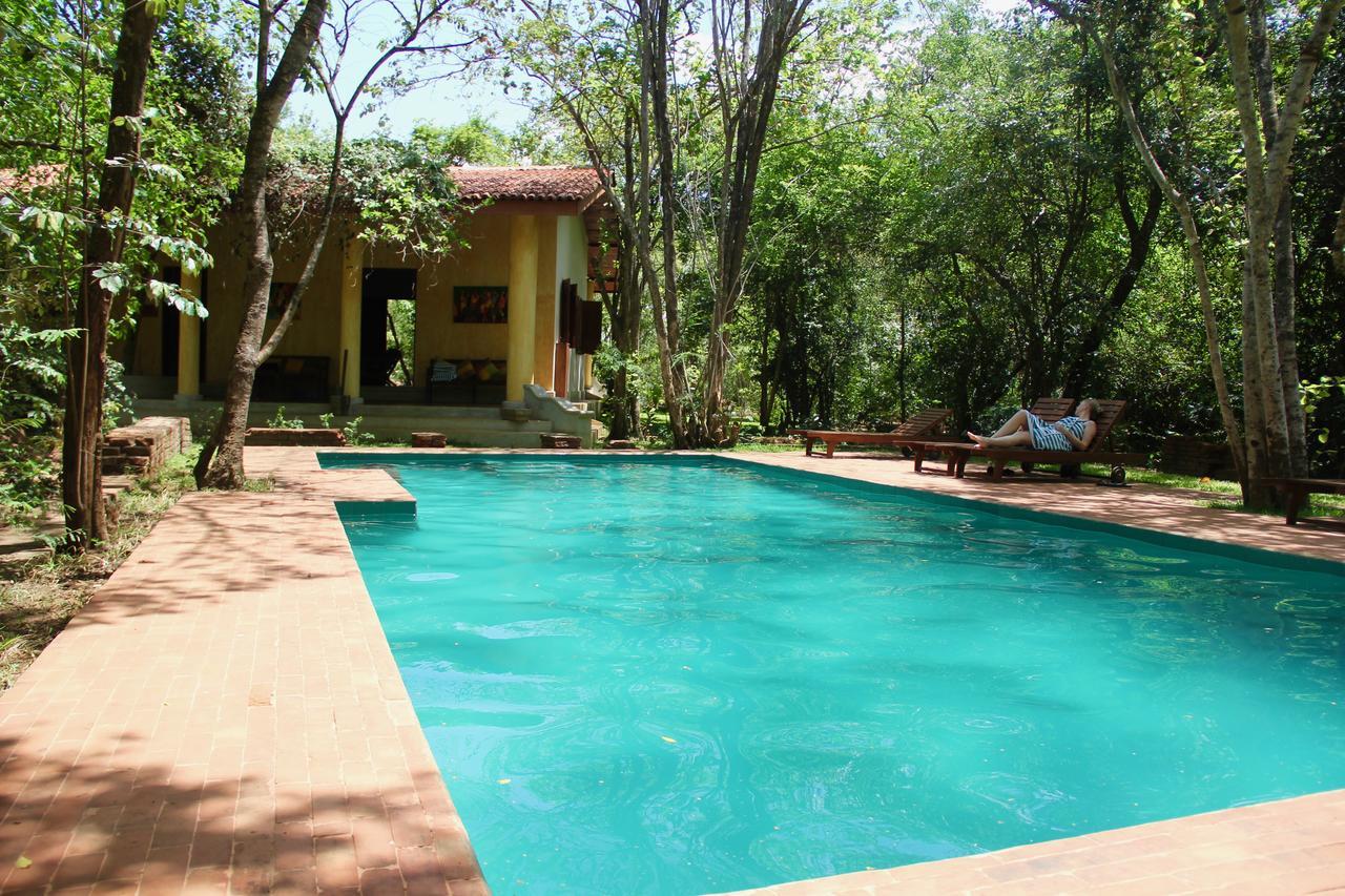 Mahagedara Wellness Retreat Otel Avudangawa Dış mekan fotoğraf