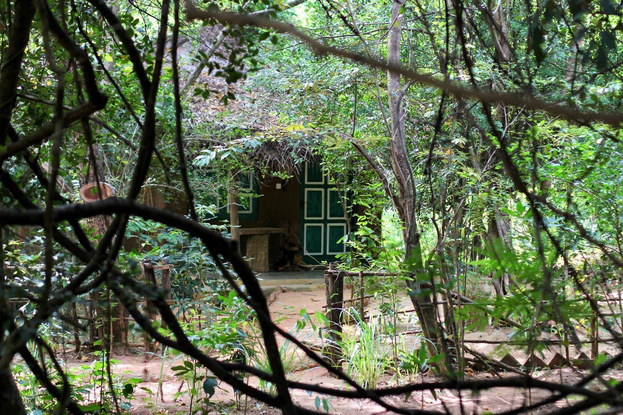 Mahagedara Wellness Retreat Otel Avudangawa Dış mekan fotoğraf