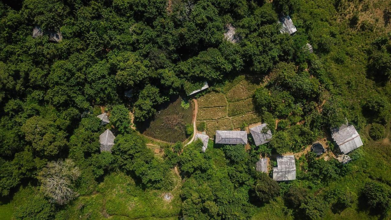 Mahagedara Wellness Retreat Otel Avudangawa Dış mekan fotoğraf
