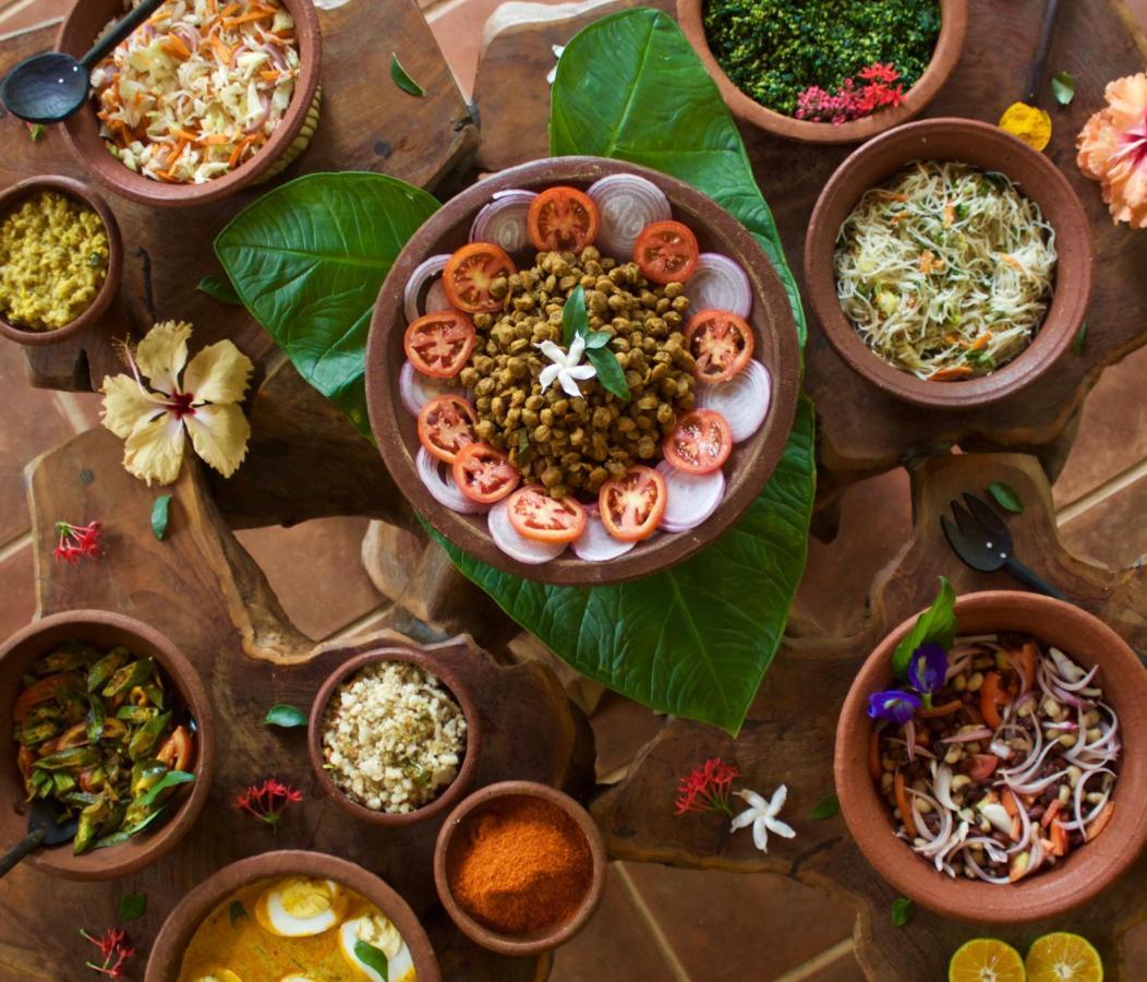 Mahagedara Wellness Retreat Otel Avudangawa Dış mekan fotoğraf