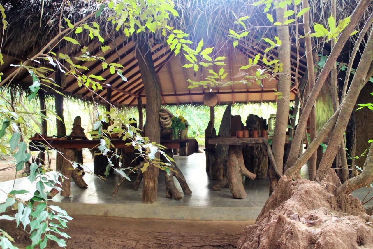 Mahagedara Wellness Retreat Otel Avudangawa Dış mekan fotoğraf