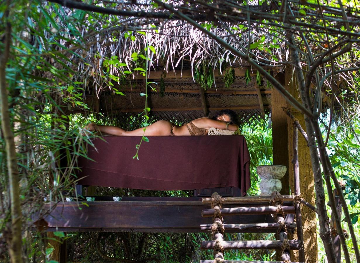 Mahagedara Wellness Retreat Otel Avudangawa Dış mekan fotoğraf